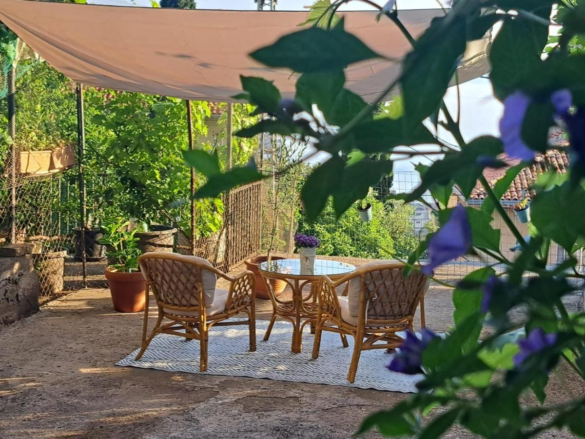 Studio Apartment Adriari With Large Terrace Rijeka Eksteriør billede